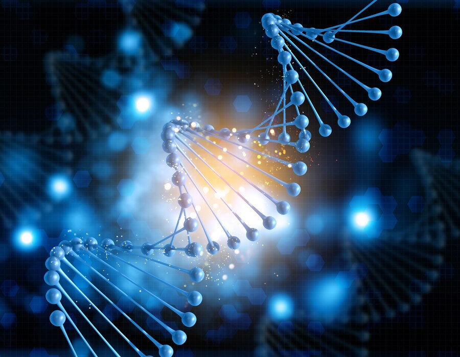 The DNA Advantage: How Understanding Your Genes Can Change Your Life